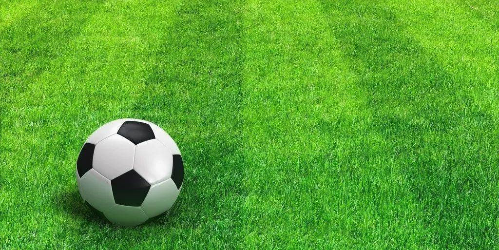 用户使用球探体育即时比分应用场景